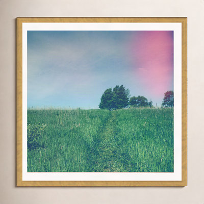 Summer Solstice by Olivia St Claire