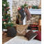 Lennox Lumbar Pillow Cover & Insert