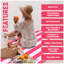 Premium Cotton Rich Velour Beach Towel, Soft Touch, Quick Dry & Highly Absorbent Towelette for Pool & Beach, 100x180 cm-100057410