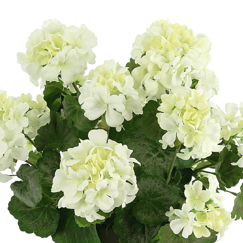 UV Protected Geranium Arrangement, Brown, 15" H x 18" W x 18" D