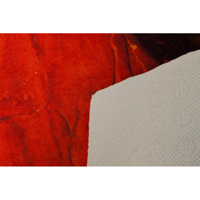 Soft Hall Carpet 2.6 x 4.9 Feet | 100% Polyester, 0.04 in Pile Height | Antibacterial, Non-Slip Underside | Woven with 3D Digital Printing | Machine Washable | Durable & Stylish for Entryways & Living Rooms