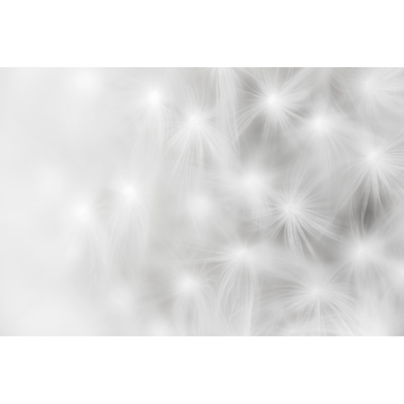 Pissenlit abstrait Macro Shoot par Danchooalex, H 20 po x l 30 po