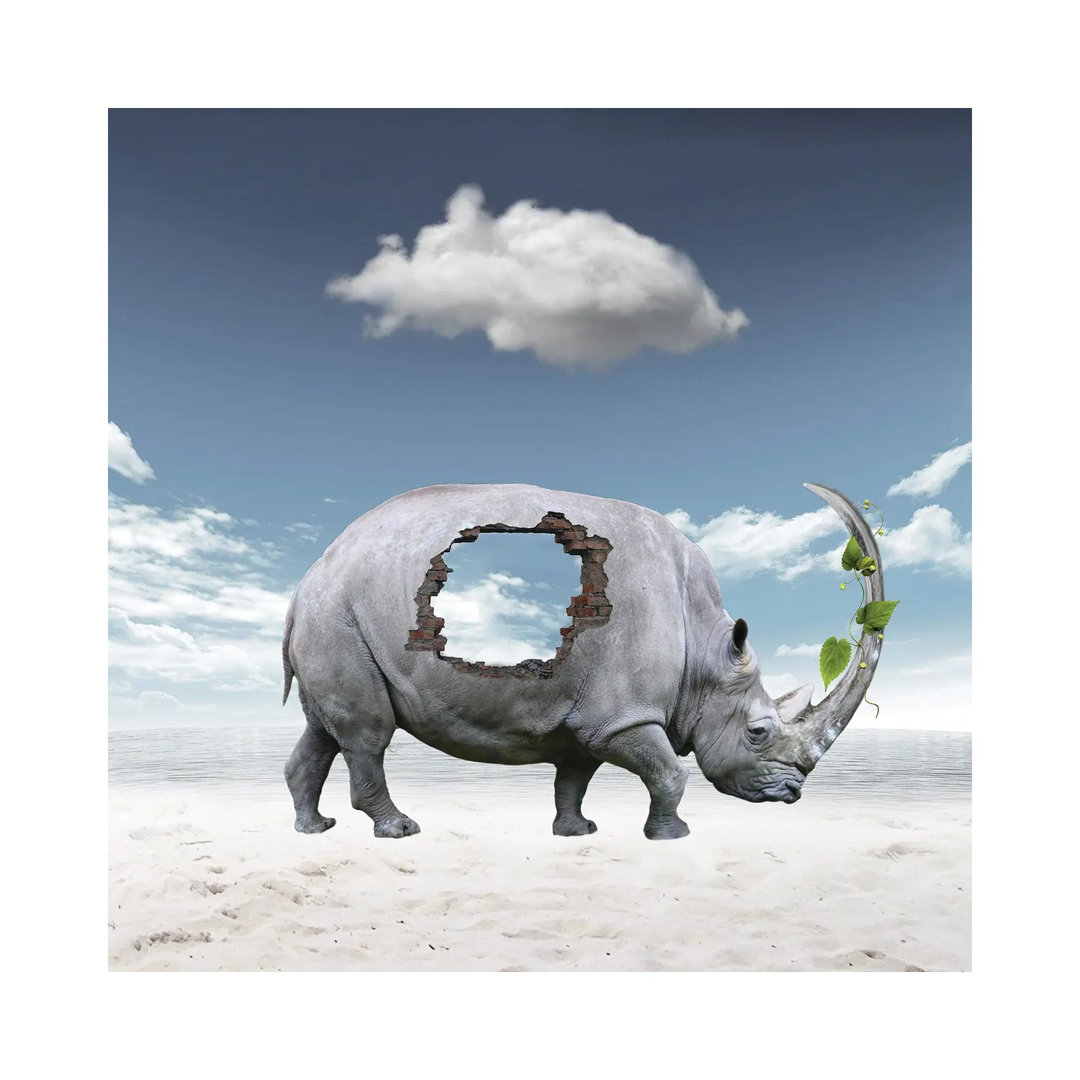 Rhinoceros