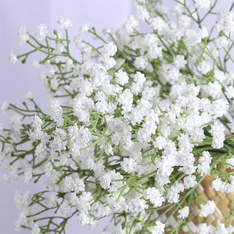 Baby's Breath Arrangement