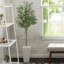 180cm Plant