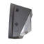 RP Lighting Wall Pack with Semi Cut-off
