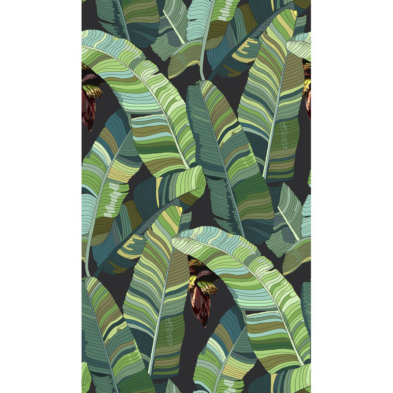 Banana Palm Dream, Mercedes