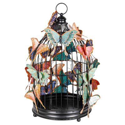 Papillons magnétiques d'extérieur avec cage noire