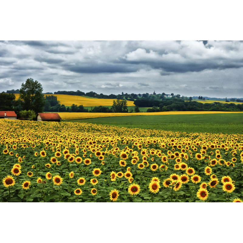 «Pastoral Countryside IV», photographie sur toile, H 8 po x l 12 po