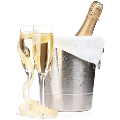 Champagne in Bucket Party Prop