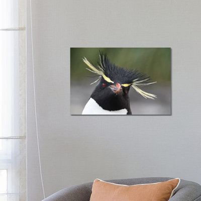 Rockhopper Penguin by Elmar Weiss - Wrapped Canvas Print