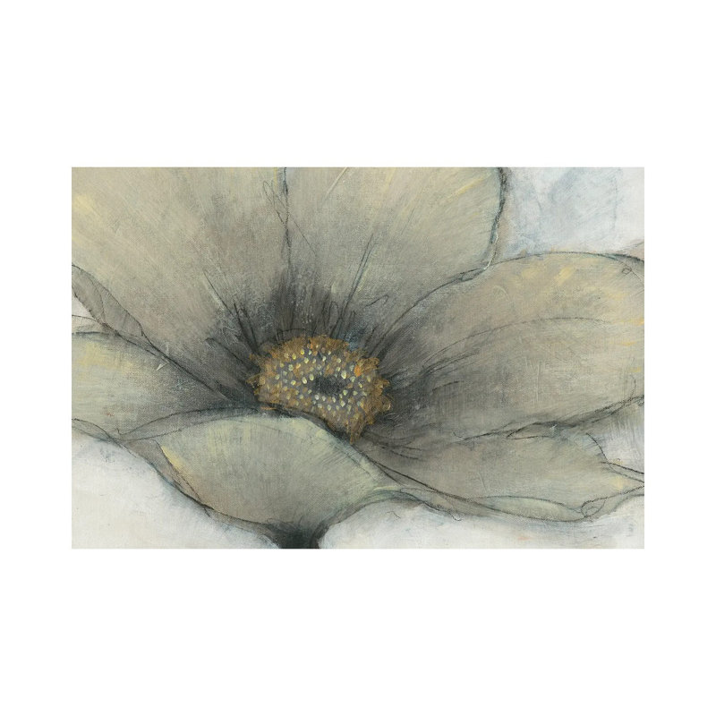 Single Cream Bloom II by Tim OToole - Gallery-Wrapped Canvas Giclée on Canvas, Canvas, 20.32 cm H x 30.48 cm W