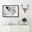 Feathers of a Swan - Picture Frame Graphic Art Print-56713405-56713409