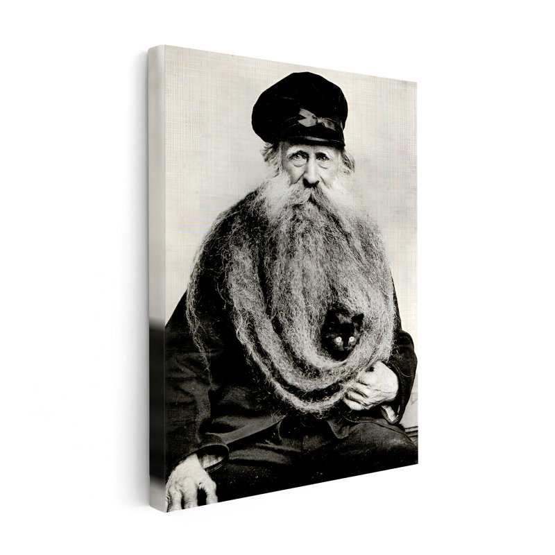 Chat en barbe, Sans cadre, Canevas, H 08 po x l 10 po