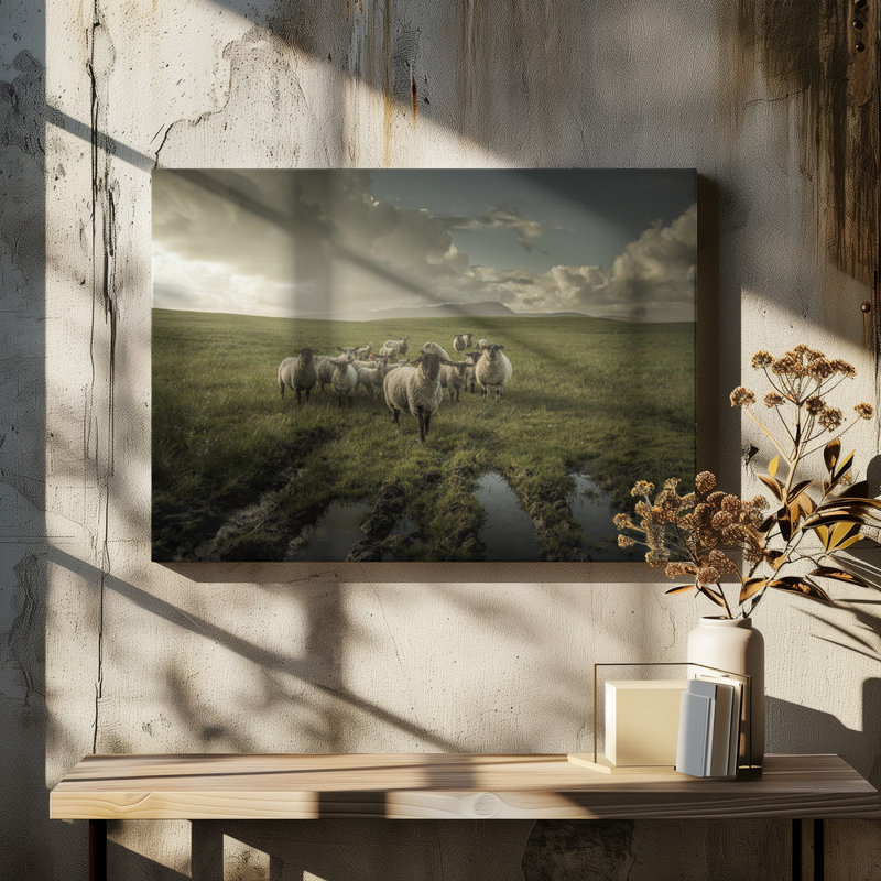 Wrapped Canvas Print, 50.8 cm H x 76.2 cm W