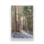«Light Through the Trees» par Stephen Calcasola, reproduction d'art-249418781-249418780