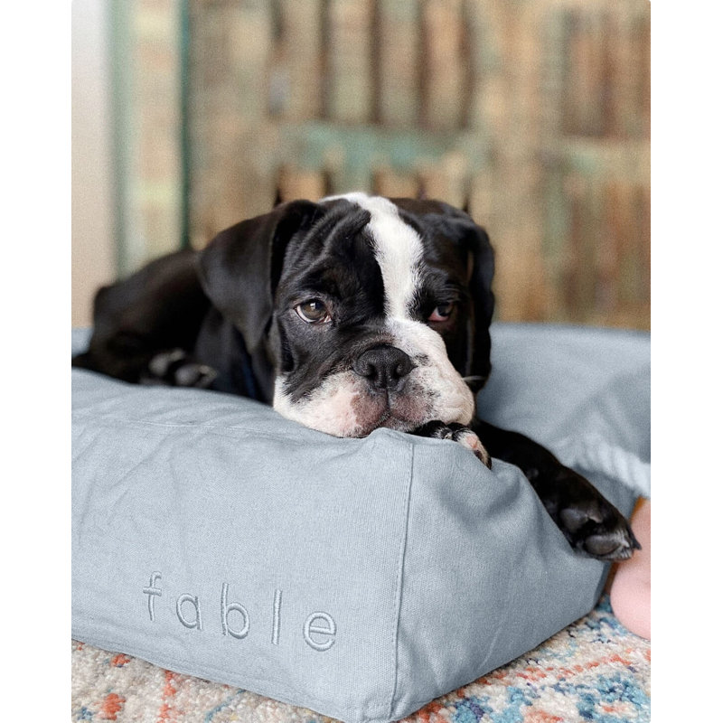 Signature Pillow/Classic Bed, Silver Blue, Extra Large (30" W x 40" D x 5" H)
