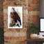  «The Bald Eagle» par Kajenna, art mural sur toile, 12 po x 18 po-2133317105