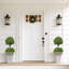 Arbres topiaires 40 po