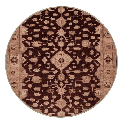 Machine Washable Overdyed Brown Area Rug