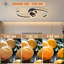 LED Semi Flush Mount-1715230101