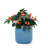 Of 3 Antique Blue Ceramic Flowerpots - Weather-, Featuring A Drainage Hole And Practical Layout Flower Ceramic Flowerpot, Antique Blue, Patio, Garden, Indoor Spaces, Frost-, Built-In Drainage Hole,-629506086