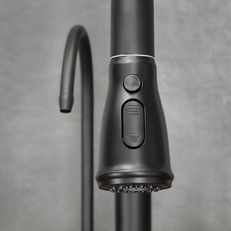 Belfry Kitchen Kitchen Faucet, Black