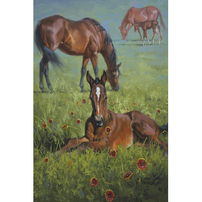 Indian Blanket by Jack Sorenson - Wrapped Canvas Painting