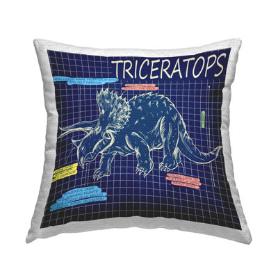 Outdoor Throw Pillow