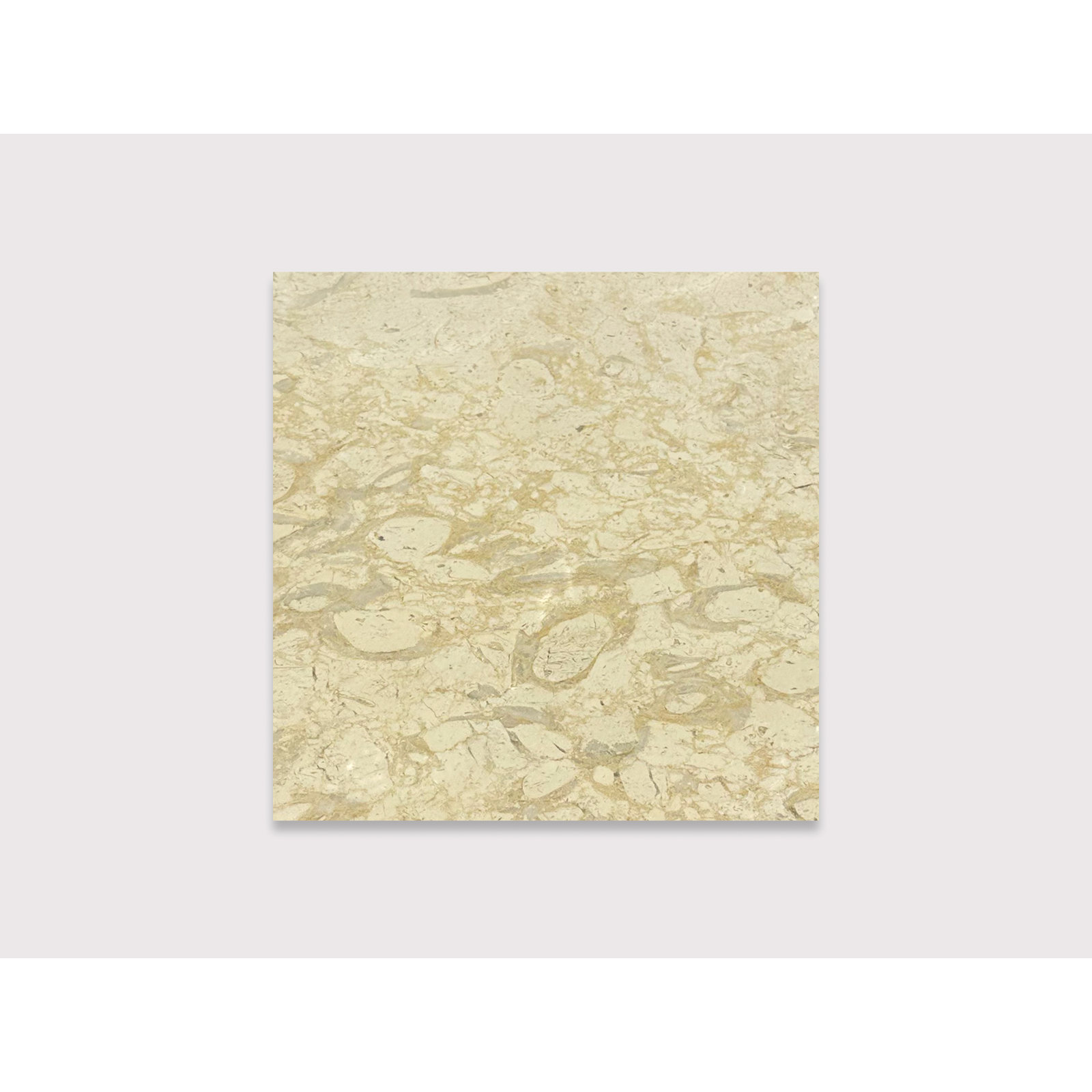 Pearl Zeno 16" x 16"