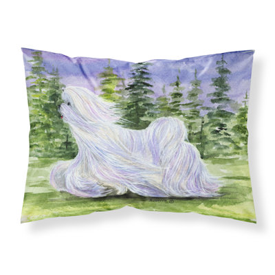 Microfiber