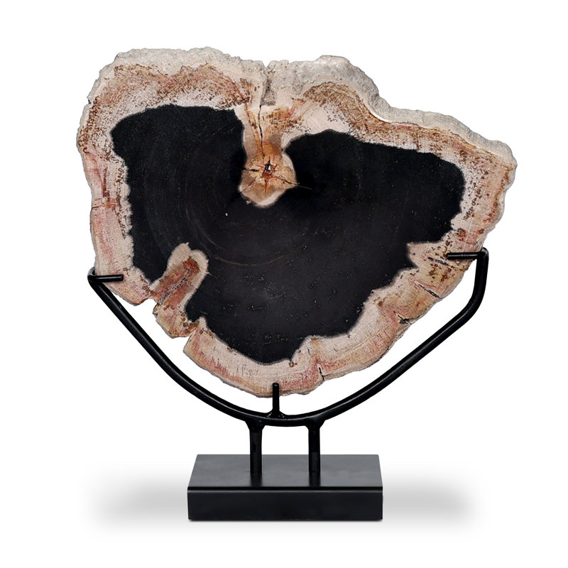 Petrified Decorative Object