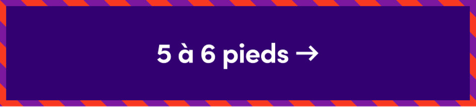 Arbres de Noël de 5 à 6 pieds