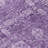 Floral Indoor / Outdoor Rug-409965193