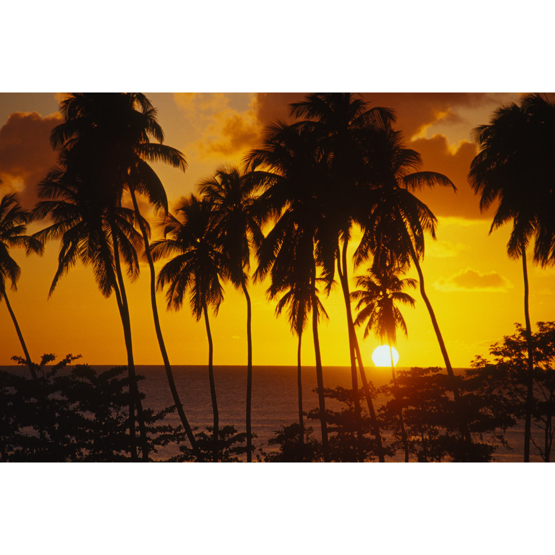 Tropical Sunset - Wrapped Canvas Photograph