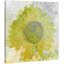Parvez Taj - Wrapped Canvas Print-16671130
