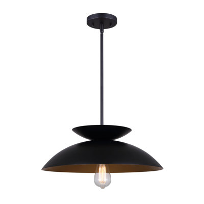 Alanzo 1 - Light Matte Black Shaded Pendant