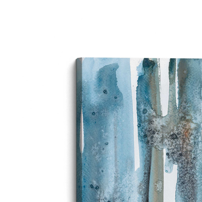 " Frozen Forest Reflections "