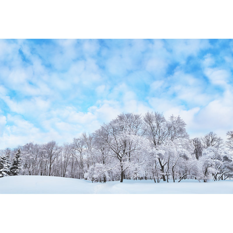 Winter Day by Tigor81 - Wrapped Canvas Print, 30cm H x 46cm W