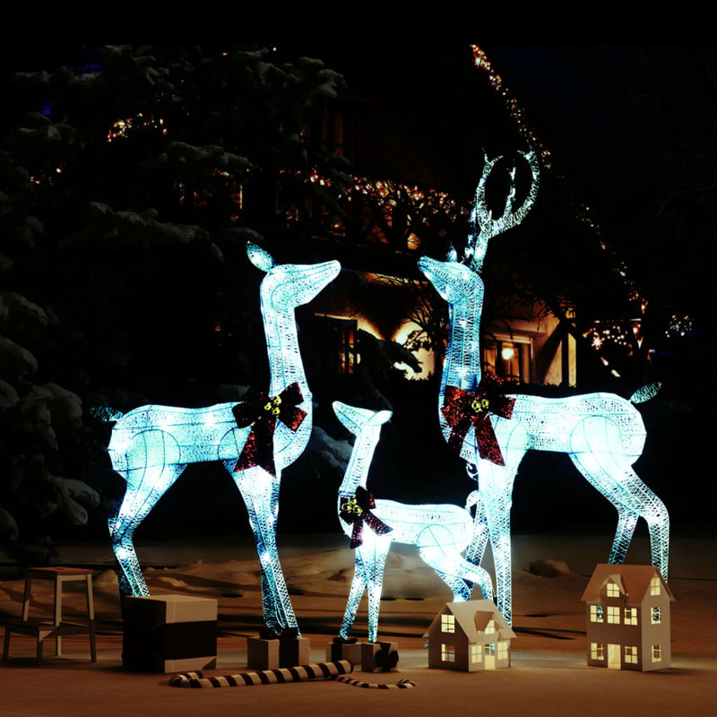 Lighted Display