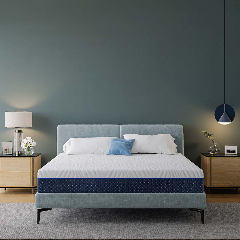 Wayfair Sleep 10" Firm Memory Foam Mattress, Queen