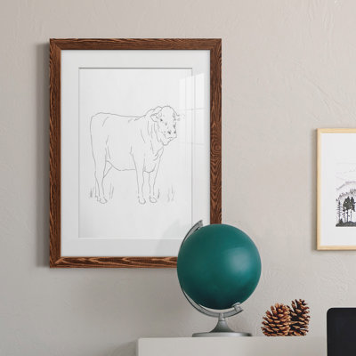 " Limousin Cattle I "
