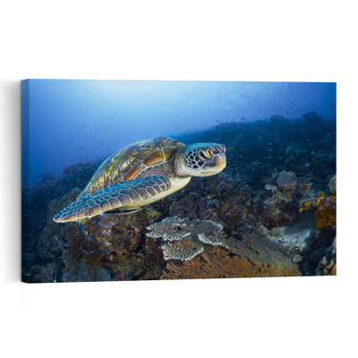 Green Sea Turtle Reef Vibrant Turtle Nature Ocean Wall Art Print 1 Piece Wrapped Canvas Wall Art
