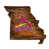 Cardinals de St-Louis