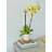 La Jolla Wine Bottle Holder & Coaster