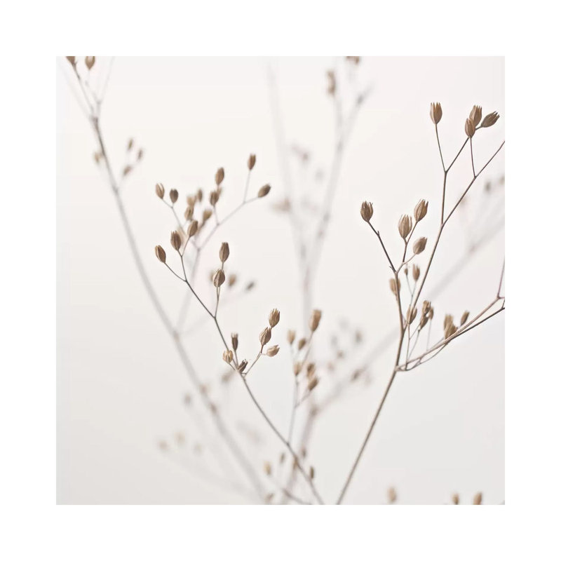 Wildflower Natural Beige I Square by Monika Strigel - Wrapped Canvas Print, 30.48 cm H x 30.48 cm W