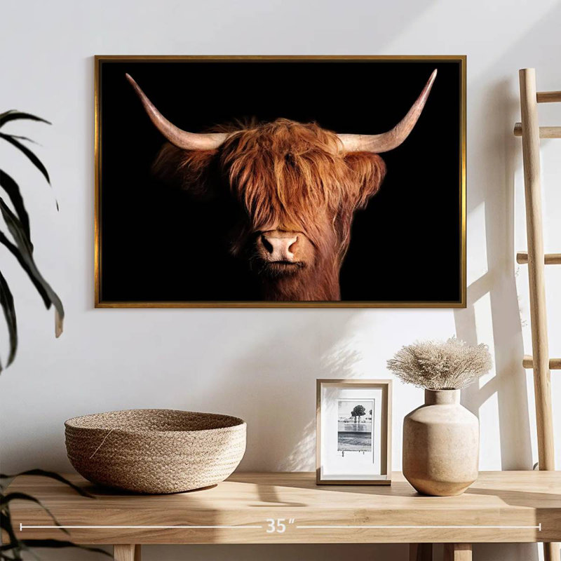 Vache écossaise Highland, Cadre flottant doré, 25 po x 17 po