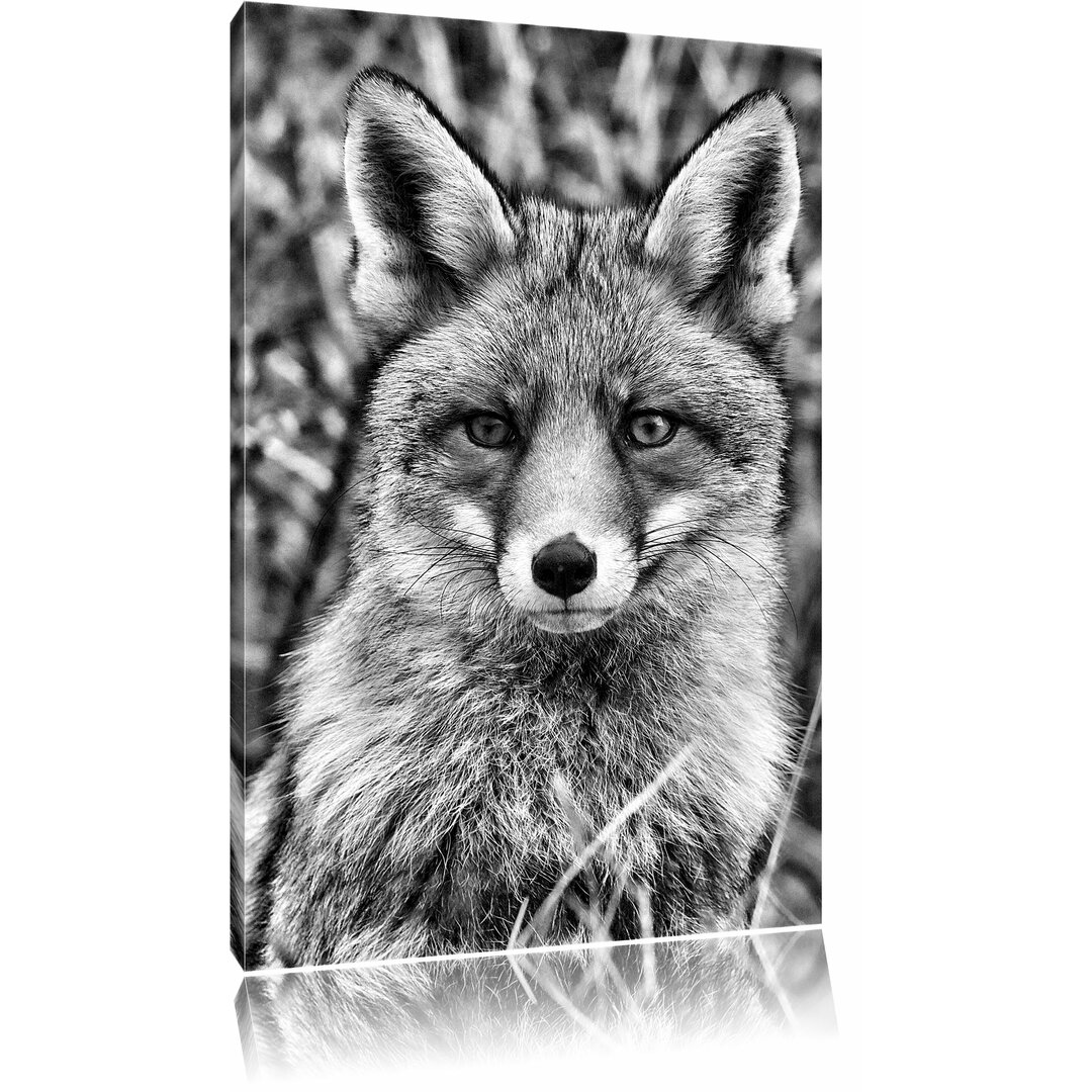 Leinwandbild Aufmerksamer Fuchs im Geäst in Monochrom