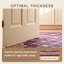 Tapis Quartz2 traditionnel à motif floral intégral or rose gris ivoire, lavable à la machine, antidérapant, à poils courts, pour l'intérieur et l'extérieur, adapté aux animaux domestiques, idéal pour le salon, la chambre, la salle à manger, l'entrée, le corridor ou le bureau.-78058535