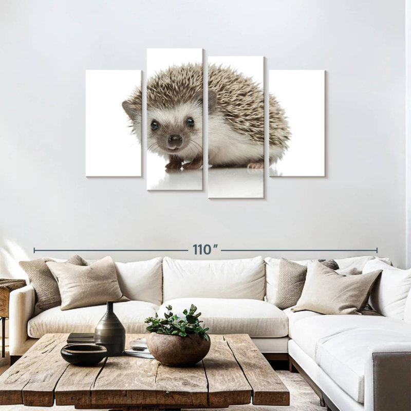African Hedgehog